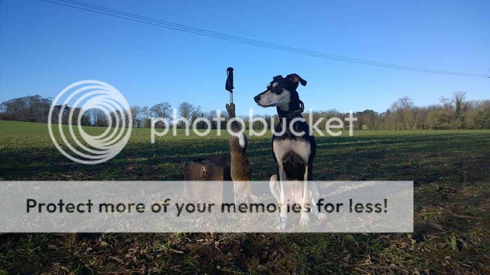 10906552_10153433802713765_6177567968649