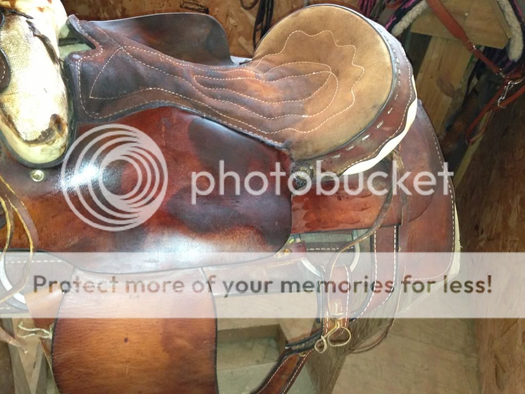 what saddle is this?? and products to soften leather The Horse Forum