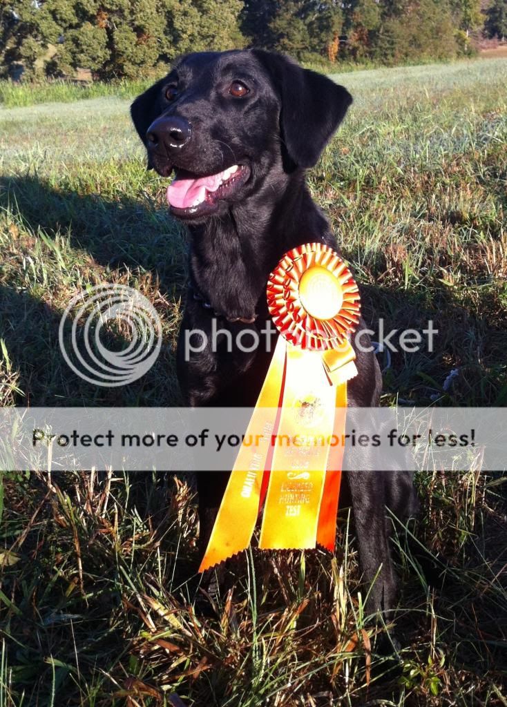 Laird's Back N Black photo image-3.jpg