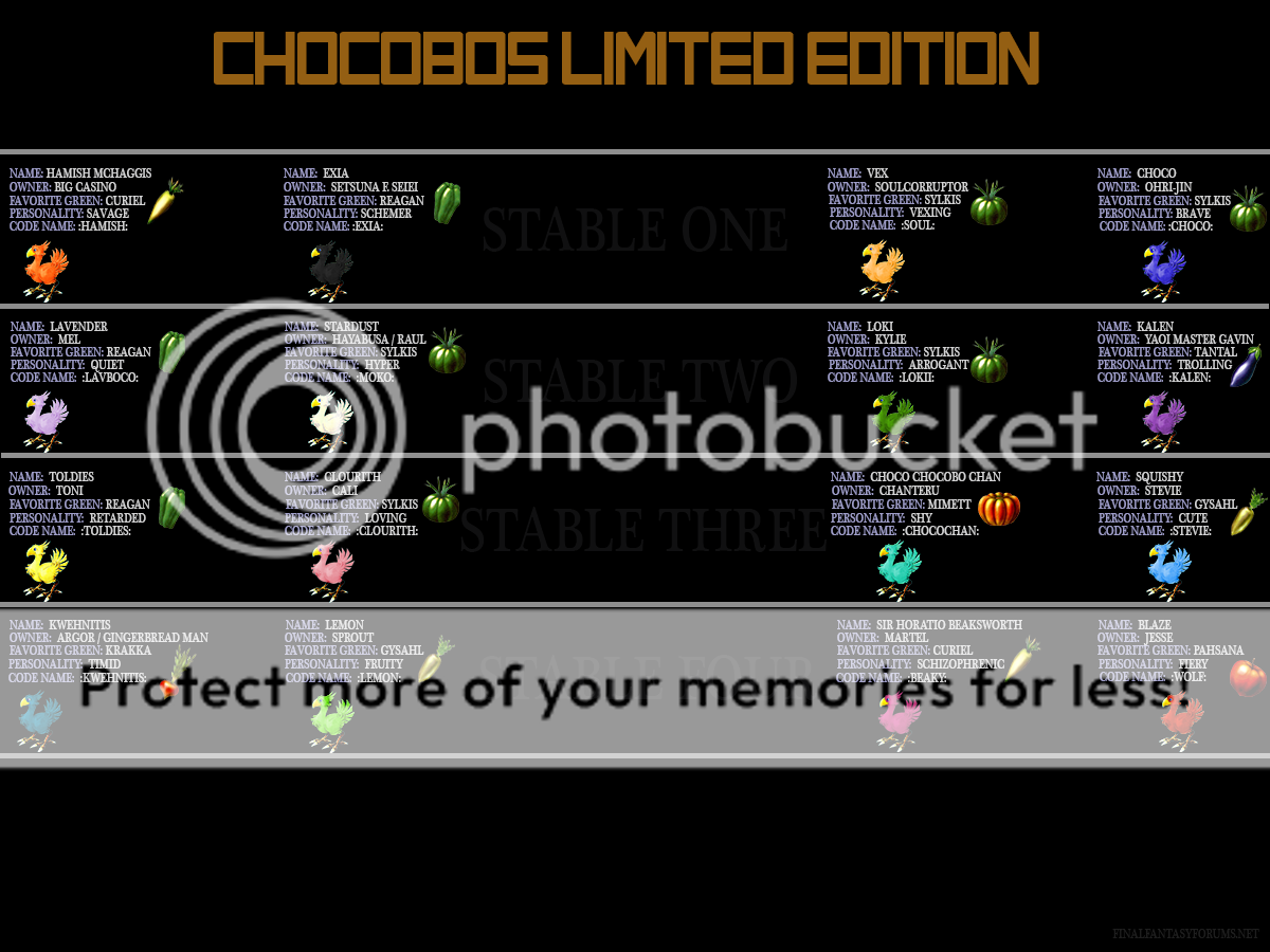 ChocoboLimitedEd_zps667eae20.png