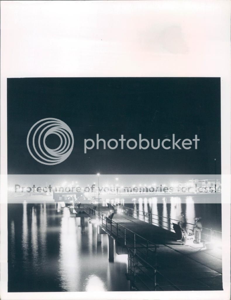 Clearwater Florida Nightlife