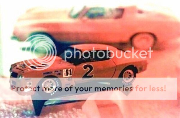 CHEVY%201974%20CAMARO%20IMSA.%20PIC%20FR