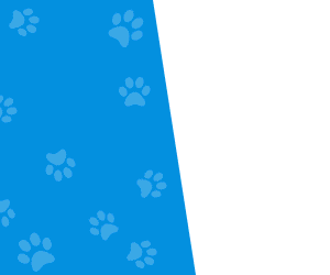 dog-grooming photo dog-grooming-final_zpsvjxda9kh.gif
