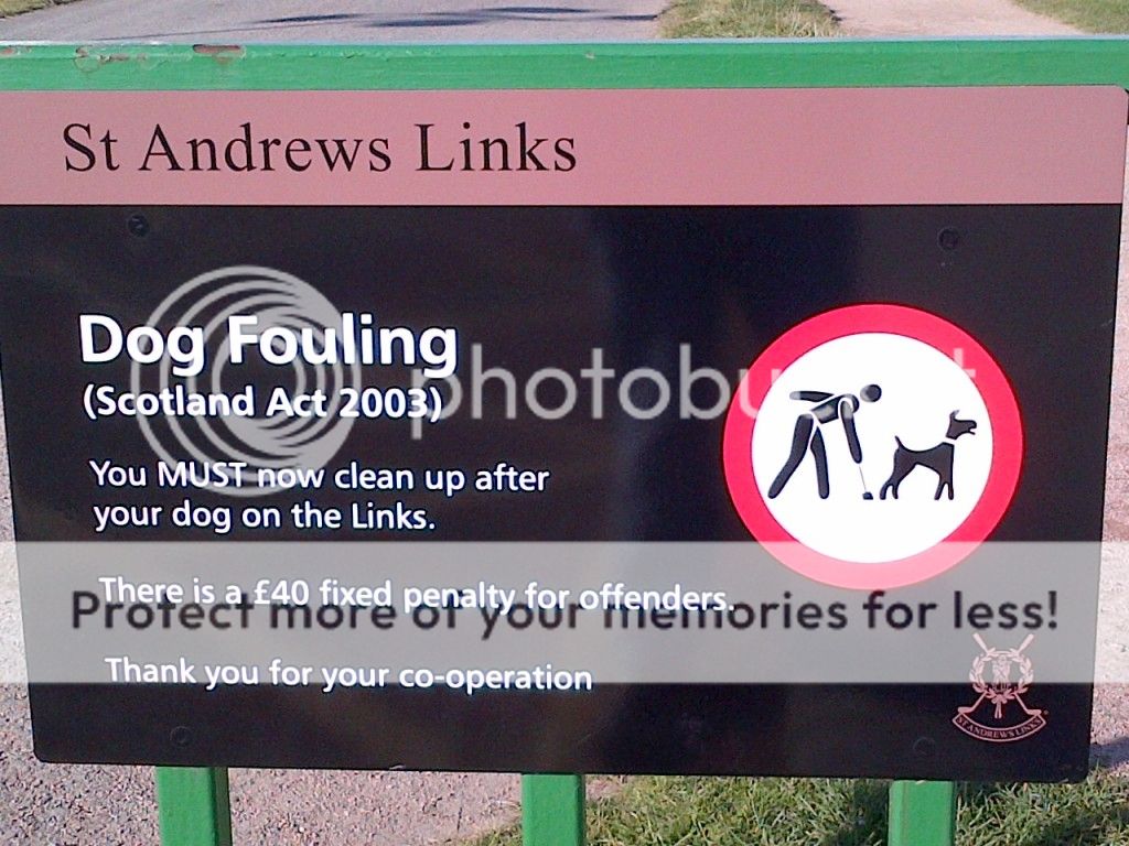 St Andrews Links (c) dannybw1954 ian andrews united kingdom