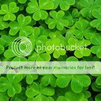 Shamrock_av_zps5srqhjds.jpg
