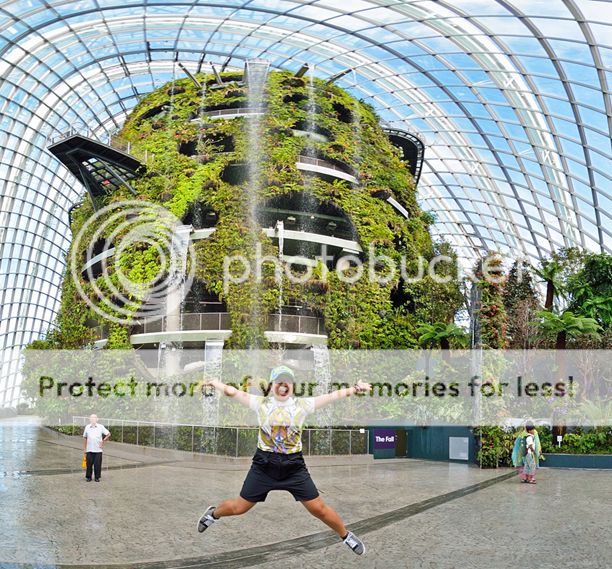 Garden By The Bay Cloud Forest in full bloom: cloud forest @ gardensthe bay | spunktitud3 Garden By The Bay Cloud Forest in full bloom: cloud forest @ gardensthe bay | spunktitud3