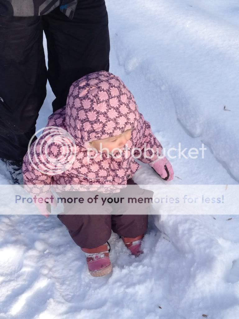 Photobucket Pictures, Images and Photos