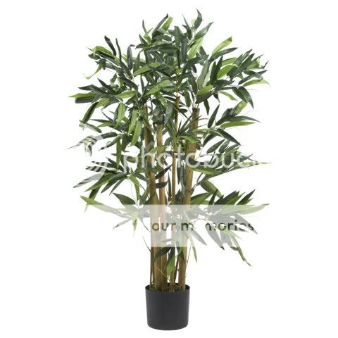 Decorative Natural Looking Artificial 4/' Asian Bambusa Bamboo Silk Tree Plants