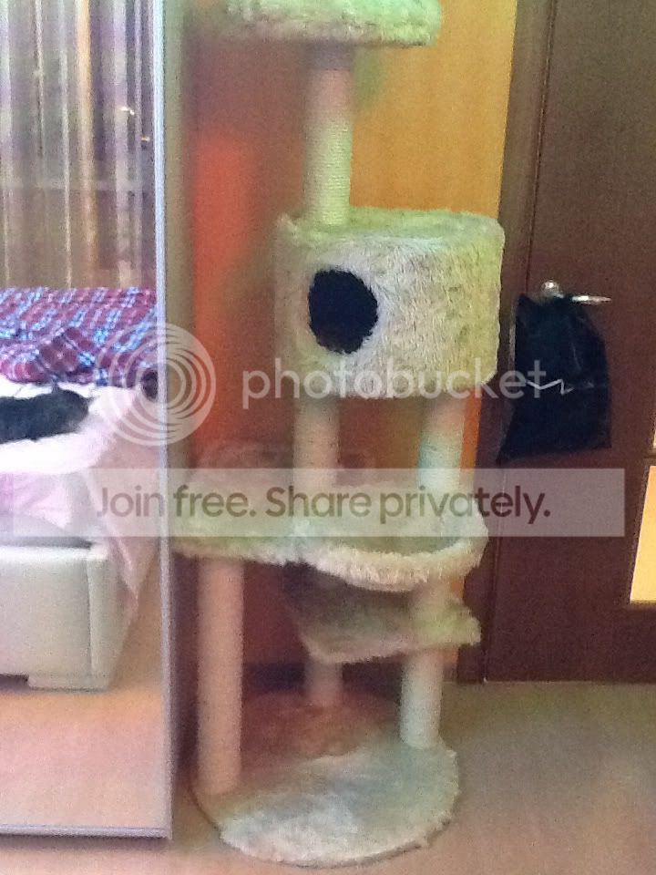 Photobucket Pictures, Images and Photos